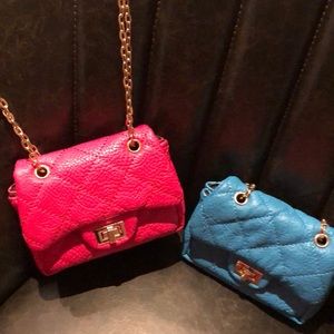 Classy Sassy Purse